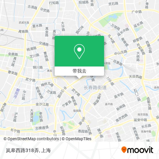 岚皋西路318弄地图