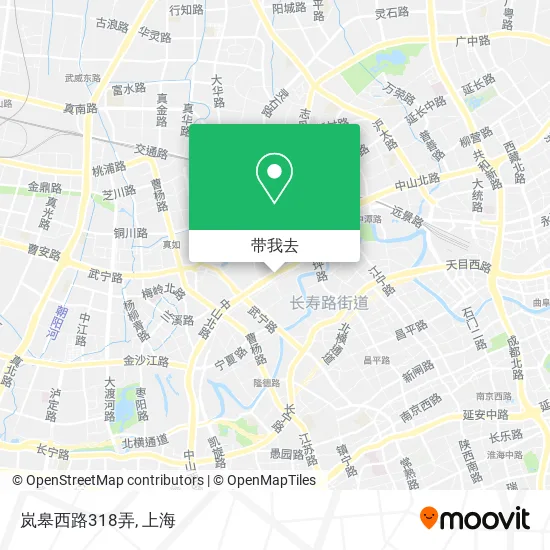 岚皋西路318弄地图