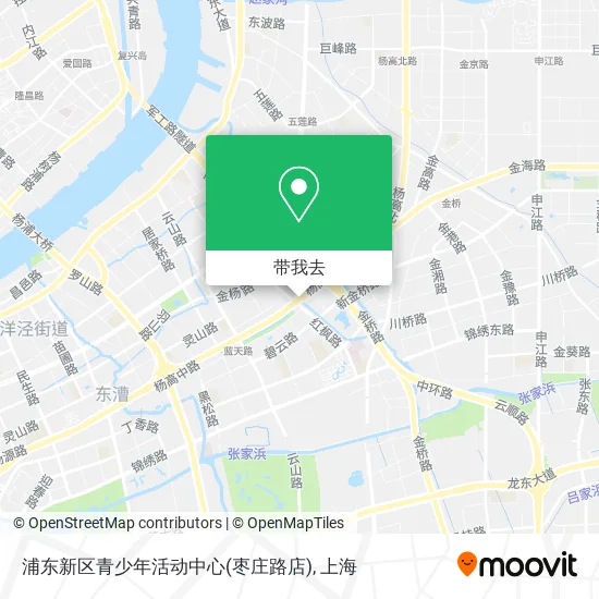 浦东新区青少年活动中心(枣庄路店)地图
