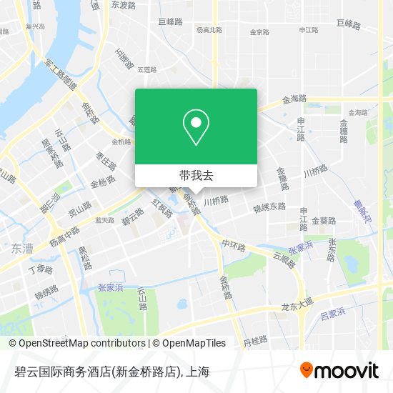 碧云国际商务酒店(新金桥路店)地图