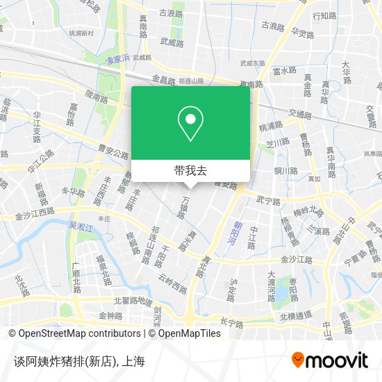 谈阿姨炸猪排(新店)地图