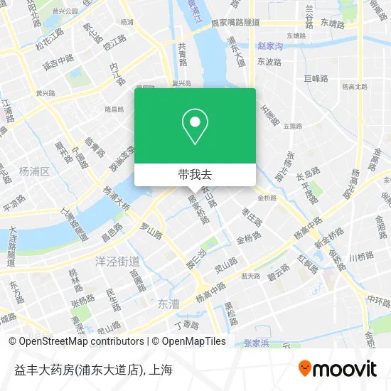 益丰大药房(浦东大道店)地图