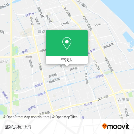 盛家浜桥地图