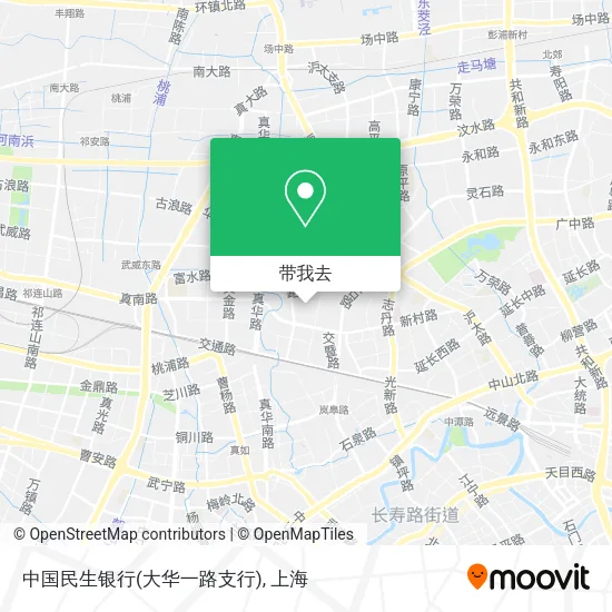 中国民生银行(大华一路支行)地图