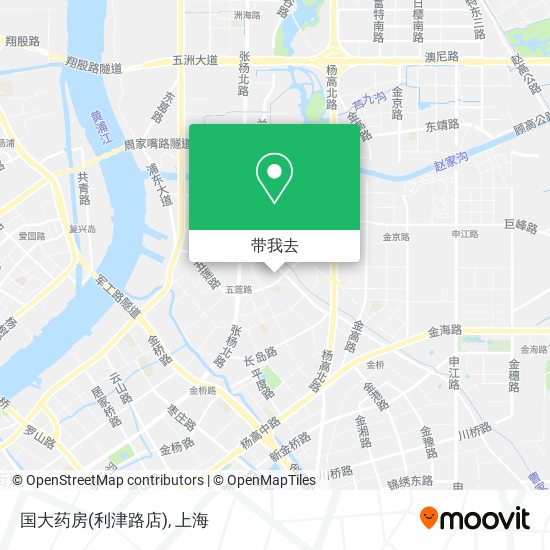 国大药房(利津路店)地图