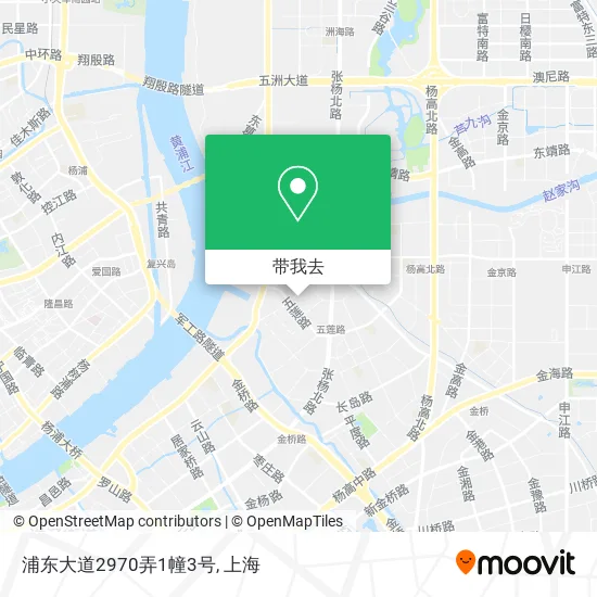 浦东大道2970弄1幢3号地图