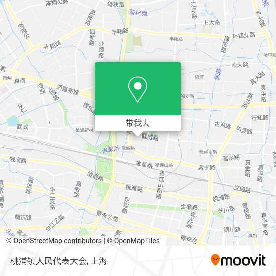 桃浦镇人民代表大会地图