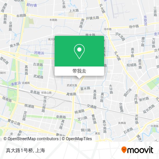 真大路1号桥地图