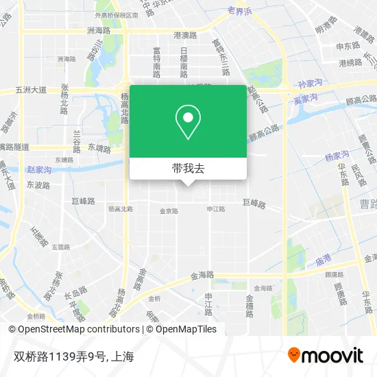 双桥路1139弄9号地图