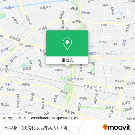 韩束妆业(桃浦化妆品专卖店)地图