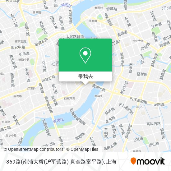 869路(南浦大桥(沪军营路)-真金路富平路)地图