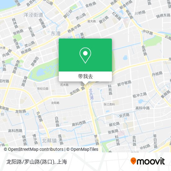 龙阳路/罗山路(路口)地图