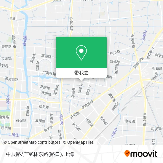 中辰路/广富林东路(路口)地图