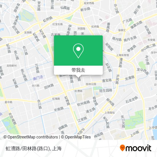 虹漕路/田林路(路口)地图