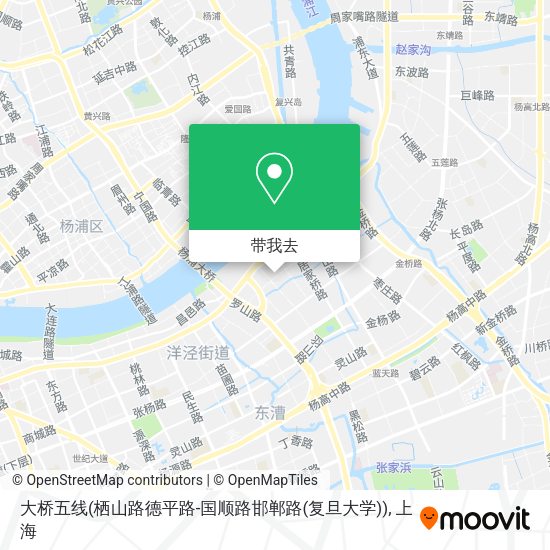 大桥五线(栖山路德平路-国顺路邯郸路(复旦大学))地图