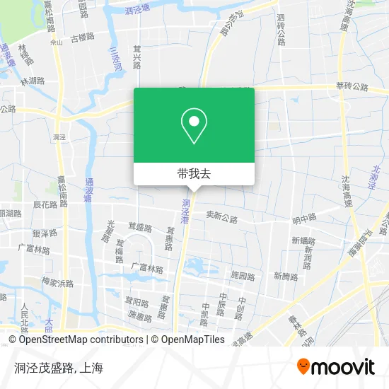 洞泾茂盛路地图