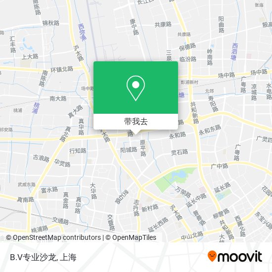 B.V专业沙龙地图