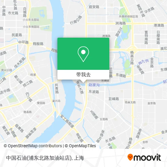 中国石油(浦东北路加油站店)地图