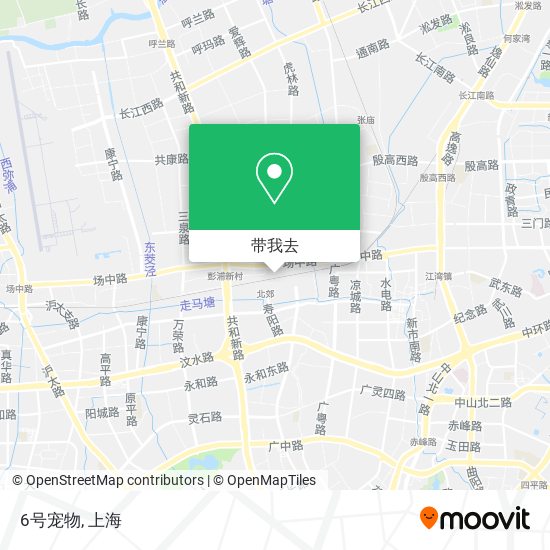 6号宠物地图