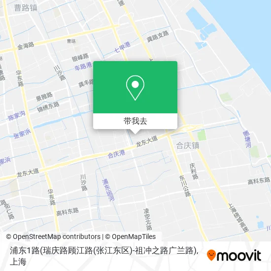 浦东1路(瑞庆路顾江路(张江东区)-祖冲之路广兰路)地图