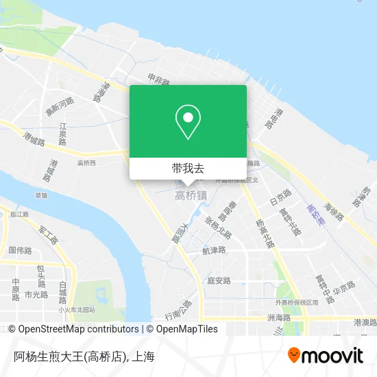 阿杨生煎大王(高桥店)地图
