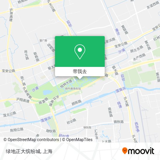 绿地正大缤纷城地图