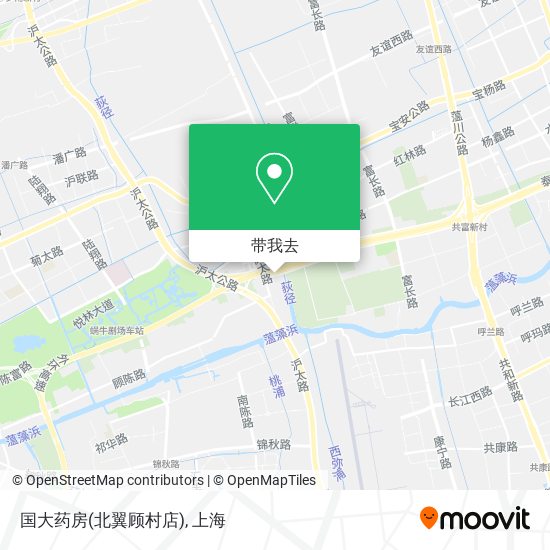 国大药房(北翼顾村店)地图