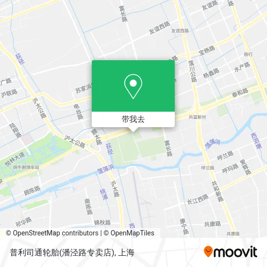 普利司通轮胎(潘泾路专卖店)地图