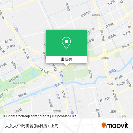 大女人中药美容(顾村店)地图