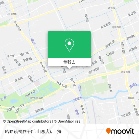 哈哈镜鸭脖子(宝山总店)地图