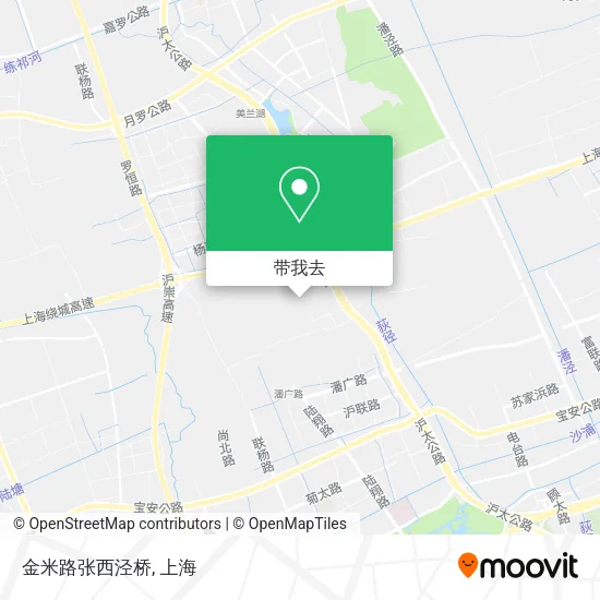 金米路张西泾桥地图