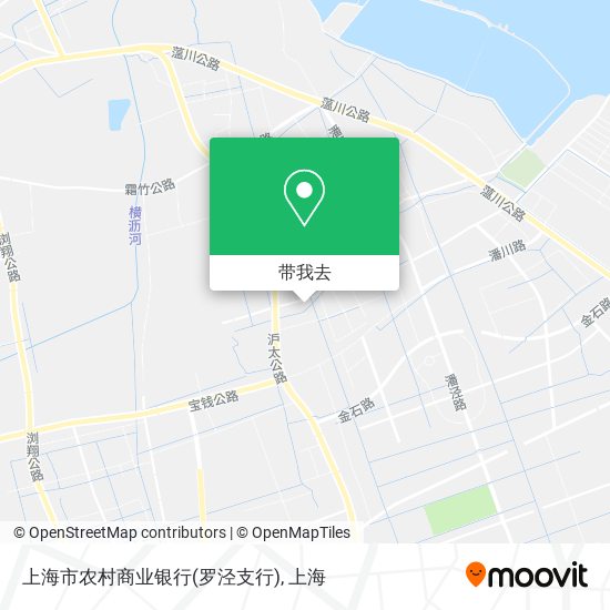 上海市农村商业银行(罗泾支行)地图