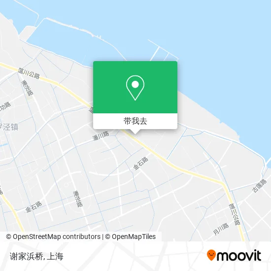 谢家浜桥地图