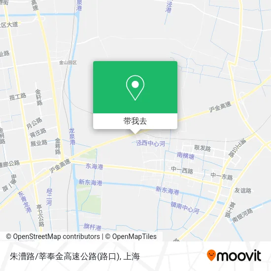 朱漕路/莘奉金高速公路(路口)地图