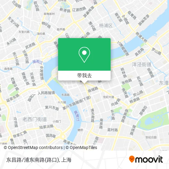 东昌路/浦东南路(路口)地图