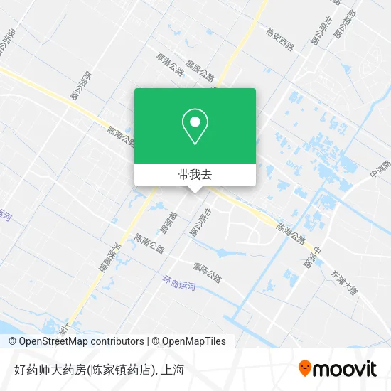 好药师大药房(陈家镇药店)地图