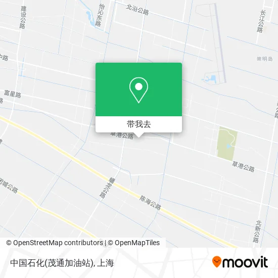 中国石化(茂通加油站)地图