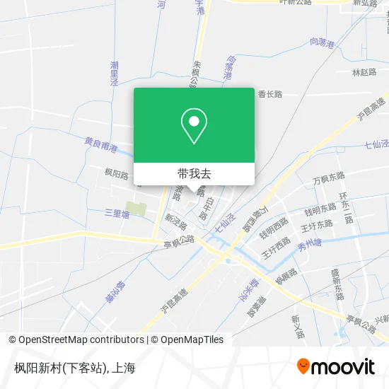 枫阳新村(下客站)地图