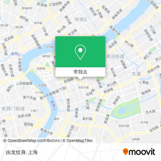 由龙纹身地图