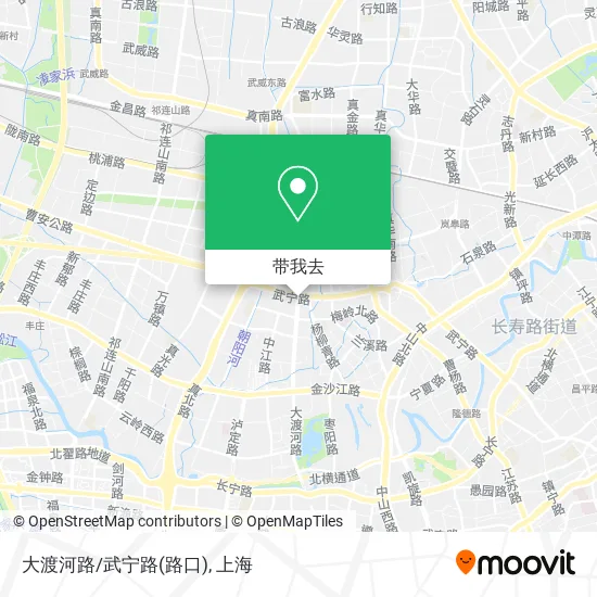 大渡河路/武宁路(路口)地图