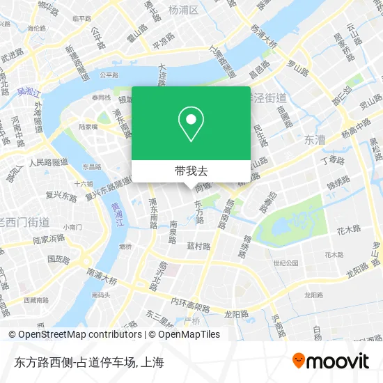 东方路西侧-占道停车场地图