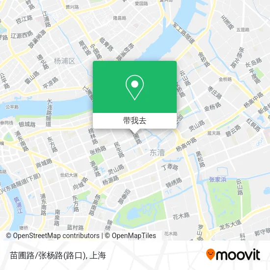 苗圃路/张杨路(路口)地图