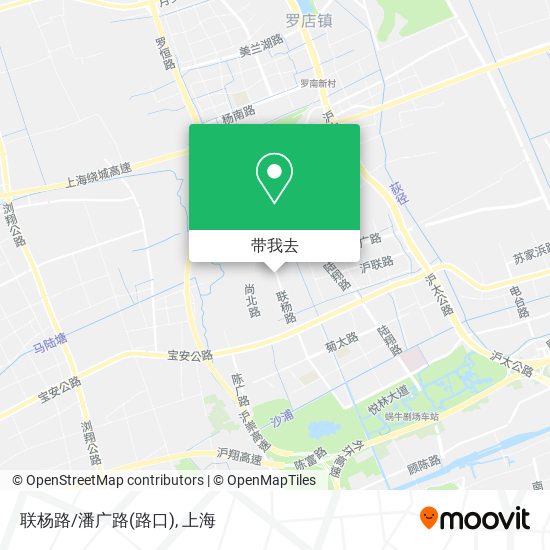 联杨路/潘广路(路口)地图