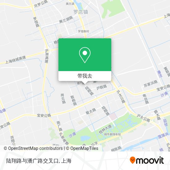 陆翔路与潘广路交叉口地图