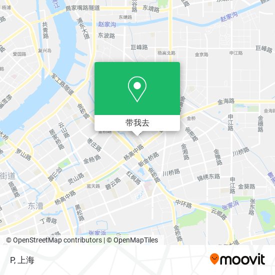 P地图
