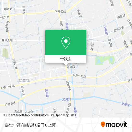 嘉松中路/垂姚路(路口)地图