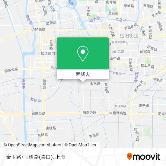 金玉路/玉树路(路口)地图