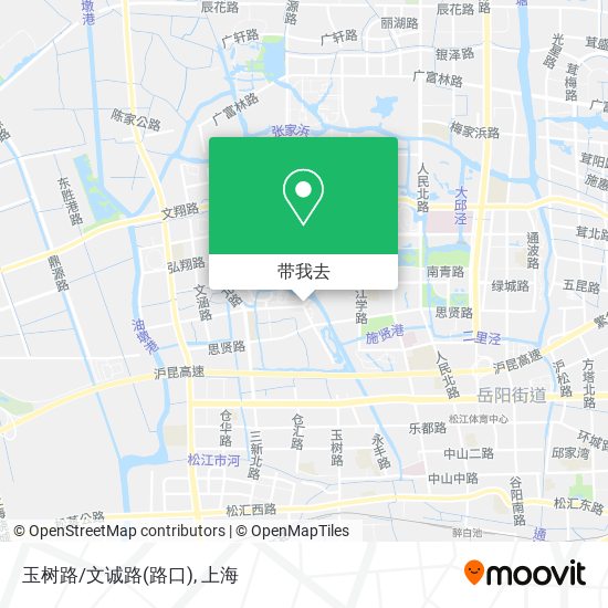 玉树路/文诚路(路口)地图