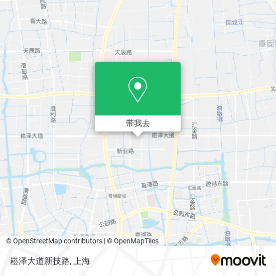 崧泽大道新技路地图
