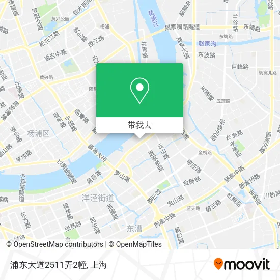 浦东大道2511弄2幢地图